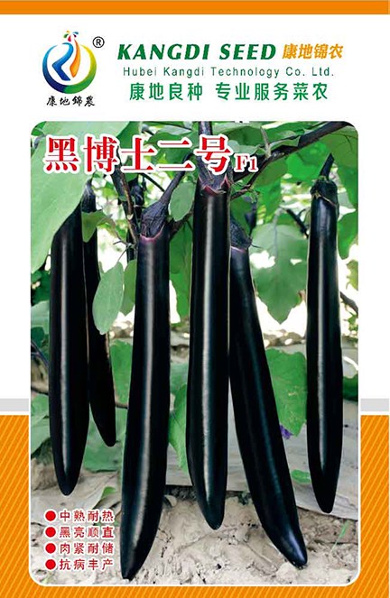 黑博士2號