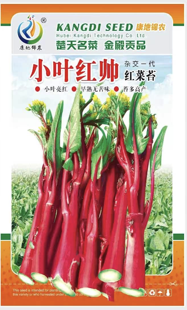 小葉紅帥