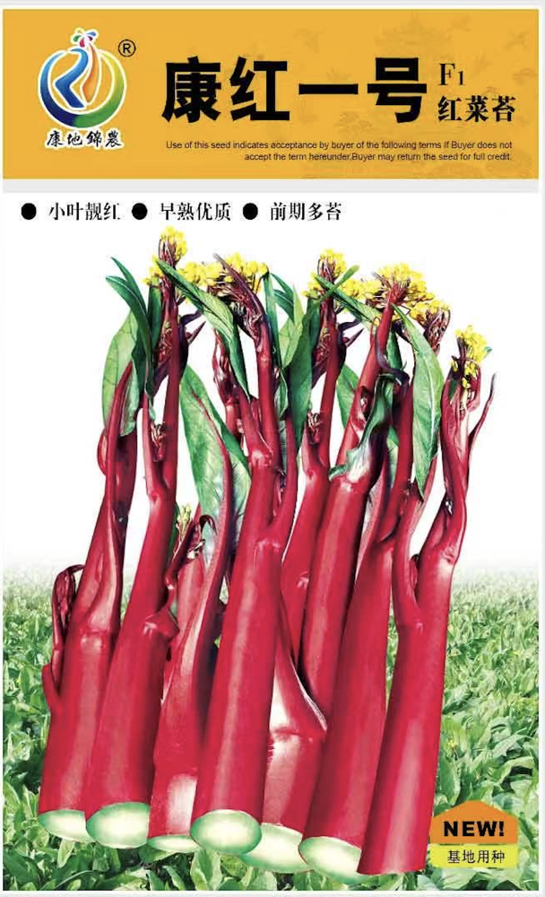康紅一號