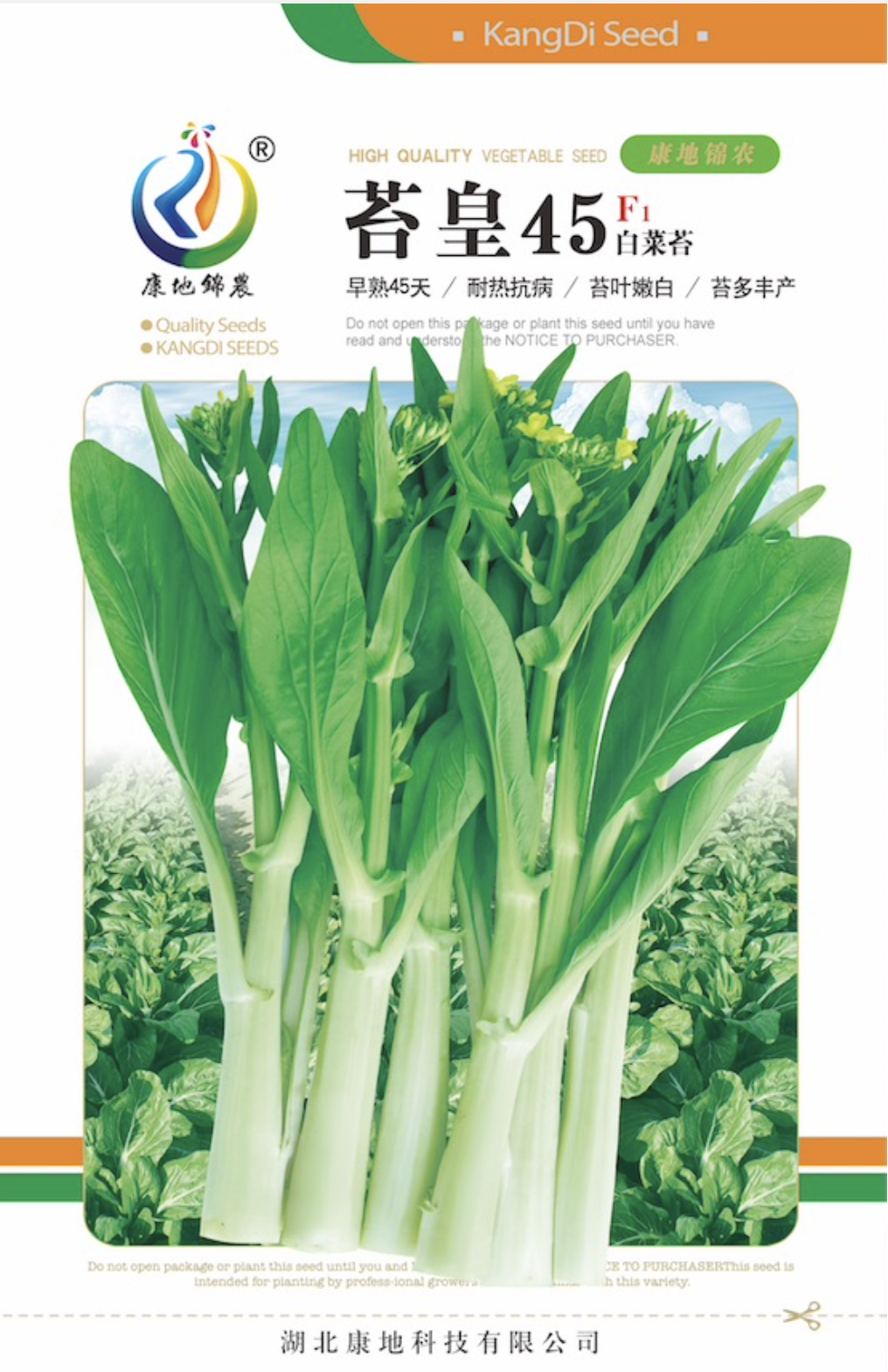 苔皇45
